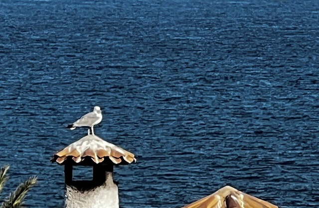 First line of the sea