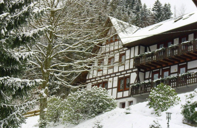 Flat in Schmallenberg with garden