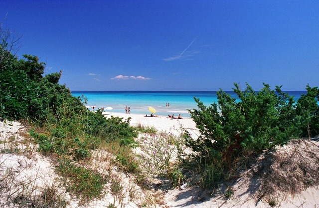 Flat on the Sea in Apulia