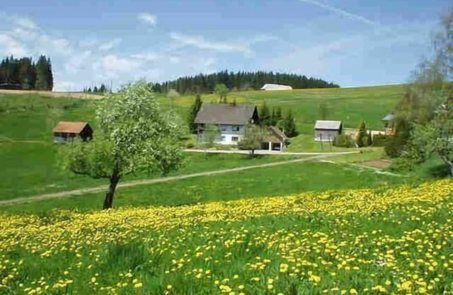 Flat with garden in Schwärzenbach