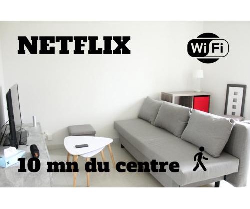 Flexy - T2 - L' Agate Grise - Le Mans