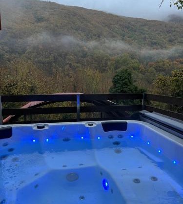 Forest view Aggeliki