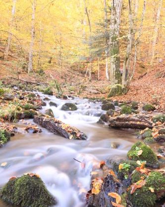 Fowo-Mangfalltal "Herbstidyll am Fluss "