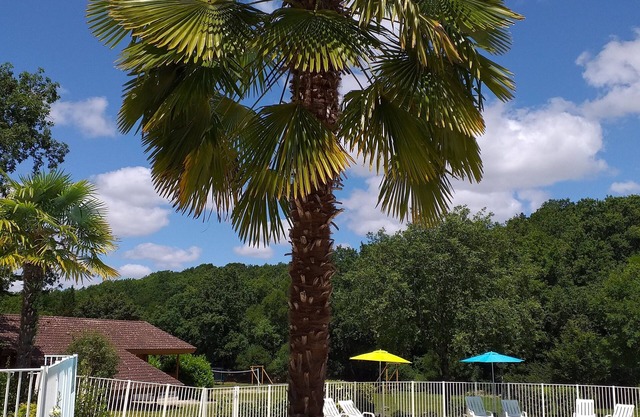 France - Charming Nordic-style chalet for 6 people 40km from Cahors.