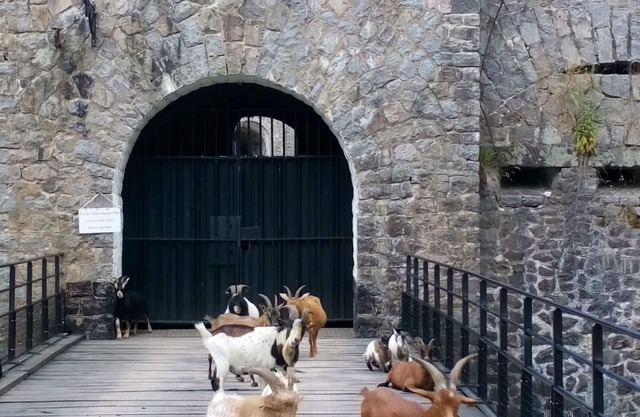 Fully equipped 51 m2 apartment in a quiet and pleasant location