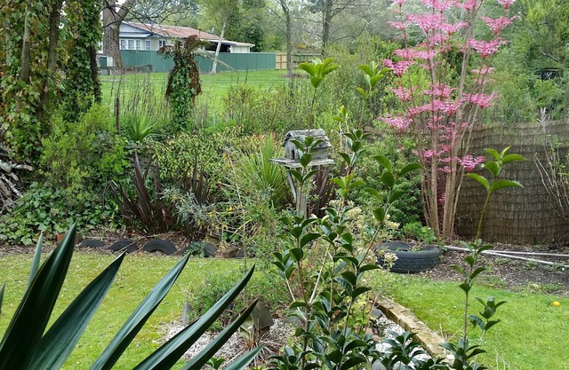 Fully stocked comfy 2 bedroom cottage close to top attractions.