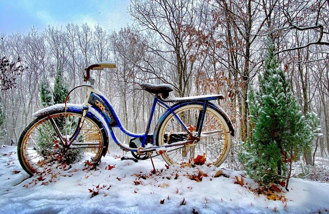 Furnished 4-Bedroom Home in Saylorsburg – Move-In Ready