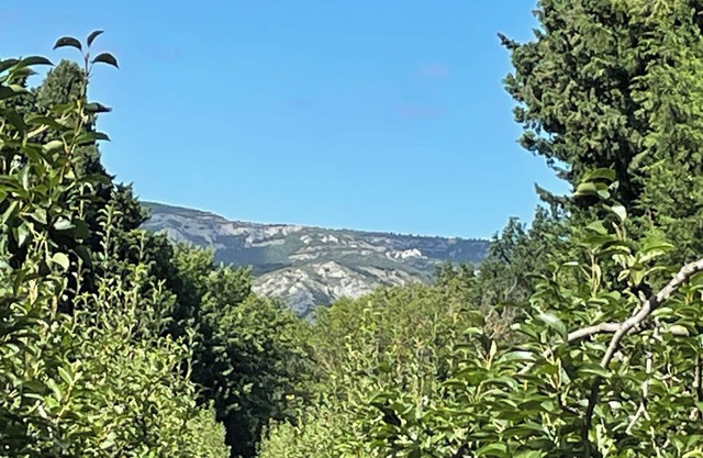 Gîte 1&2 adjoining Mas Simone & Dédé between Alpilles and Lubéron