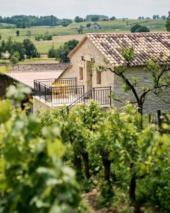 Gîte au cœur des vignes