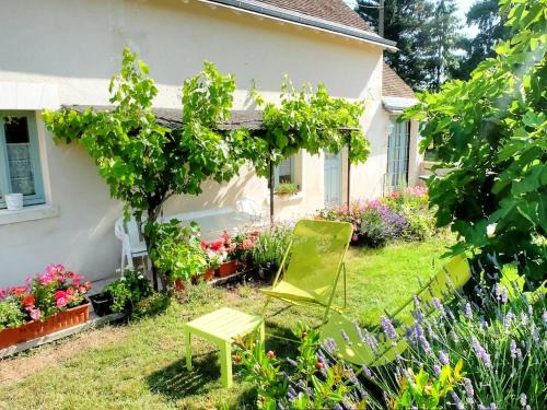 Gîte chaleureux à la nature avec animaux admis, jardin privé - FR-1-381-200
