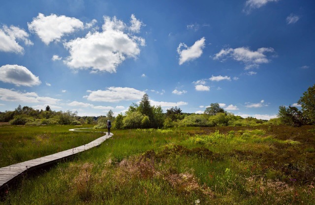 Gîte des hortensiasnnGîte à la ferme 5 chambres, 10 lits, maximum 15 personnes