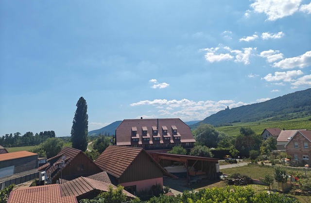 Gîte FAMILLE 3* for 2/4/6 people (4 adults + possibility 2 children)