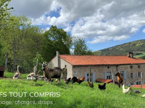 Gîte historique avec jardin et cheminée près de Sauvain - FR-1-496-315