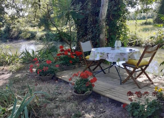 gîte " jardin peyrona" visite zoo beauval et châteaux de Loire
