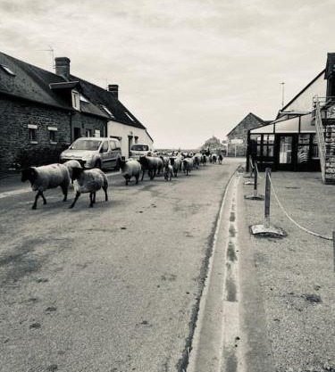 Gîte La Mouette de 4 personnes