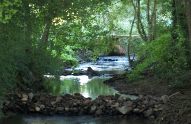 Gîte "Le Grison" - a relaxing stay
