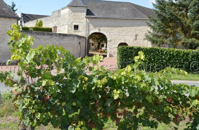 Gîte Ligré, 8 pièces, 15 personnes - FR-1-381-129