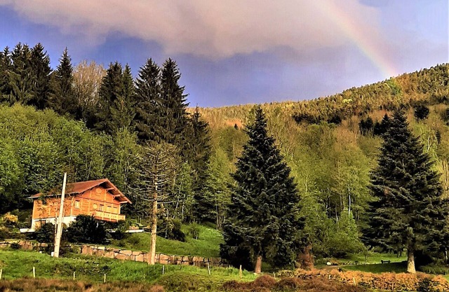 Gîte Pour 8 ou 15 Pers Près de Gérardmer et L Alsace