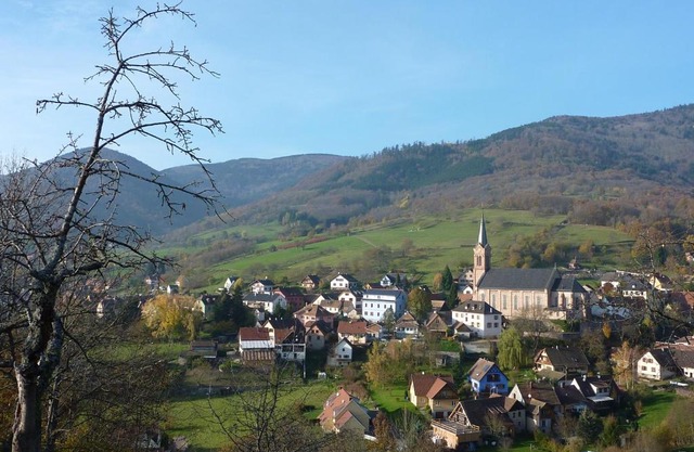 Gîte Schlitteur Et Sapiniere