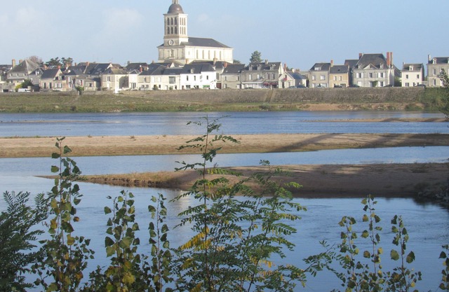 GITE 2/4 pers nine between Angers and Saumur on the banks of the calm Loire