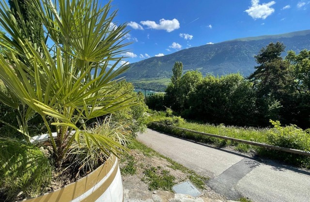 Gite 2 people - 10 mn from Lake Monteynard Avignonet - TREFFORT