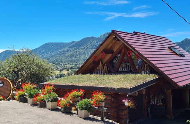 Gite Alsace Le chalet Les Prunelles Sauvages Spa/Jacuzzi-sauna