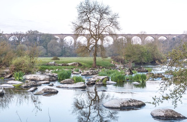 Gite Mortagne-sur-Sèvre, 2 bedrooms, 6 persons