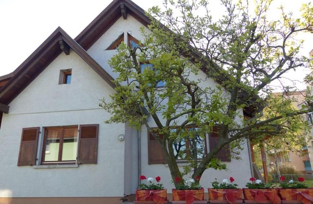 GITE SPACIEUX AU COEUR DE L'ALSACE 3*