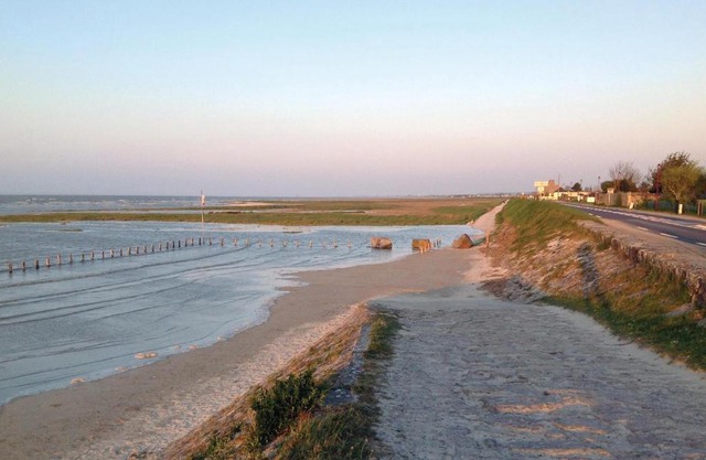 Gorgeous Apartment In Vildé-La-Marine