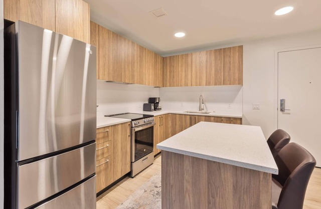 Gorgeous Apt with Kitchen and Gym