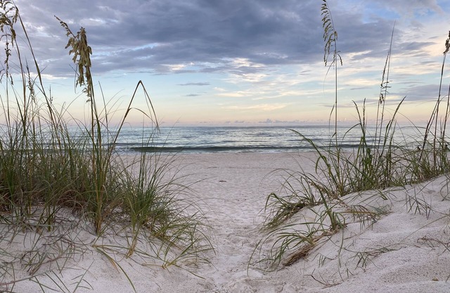 Gorgeous beach house with lagoon!