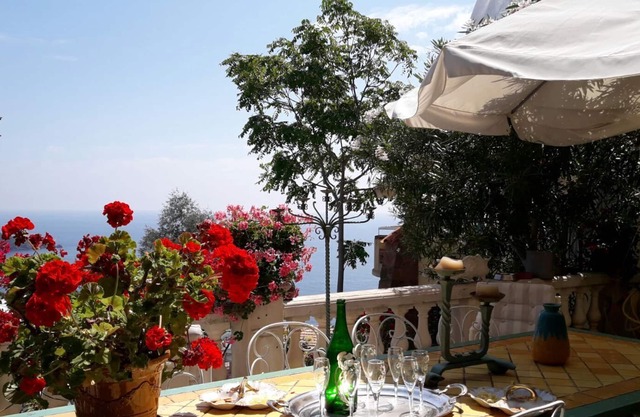 Gorgeous Provencal Villa 15 minutes from Cannes