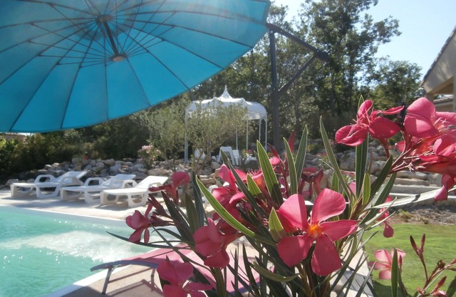 GORGES DE L'ARDECHE VILLA WITH PRIVATE SWIMMING POOL 6 pers 4 stars