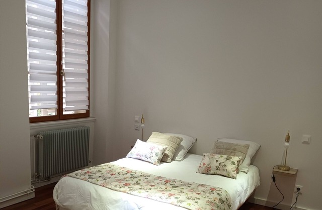 Grand Appartement au Charme Alsacien au Coeur de la Vieille Ville de Colmar