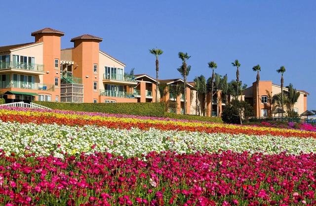 Grand Pacific Palisades 2 Bedroom Unit Sleeps 6
