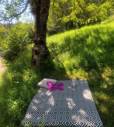 Grande maison à à Bresse avec jacuzzi cheminée et jardin Idéal pour les familles et amis