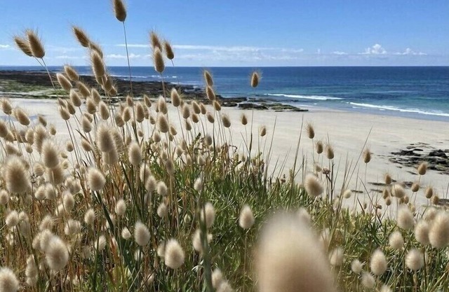 Grande Maison de Famille Avec Piscine