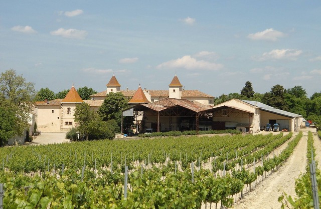 Great House in the heart of the vineyard