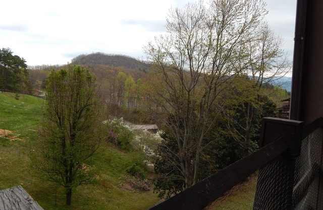 Great Smoky Mountain Hideaway! Near Dollywood!