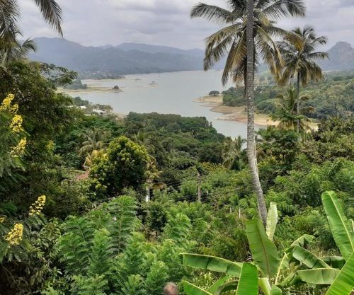 Green Nature Villa kandy