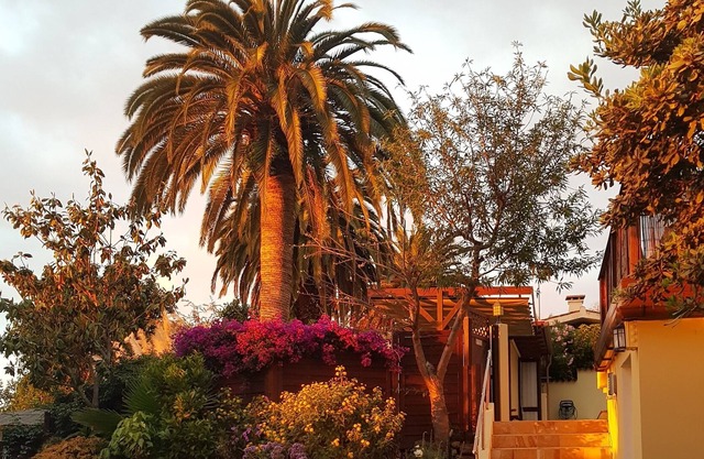Green oasis in the north of Tenerife