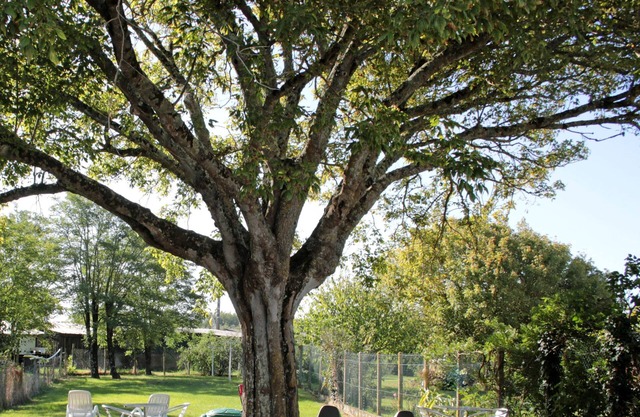 Hôtel Les Terrasses