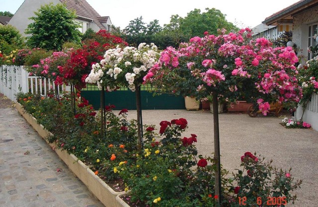 Hôtel Restaurant Maison Blanche