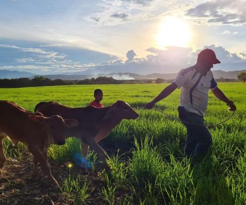 Hacienda Villa Liria