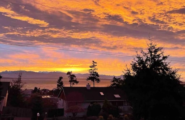 Halsey Haven! 3 BR Home w/Stunning Views + Sauna!