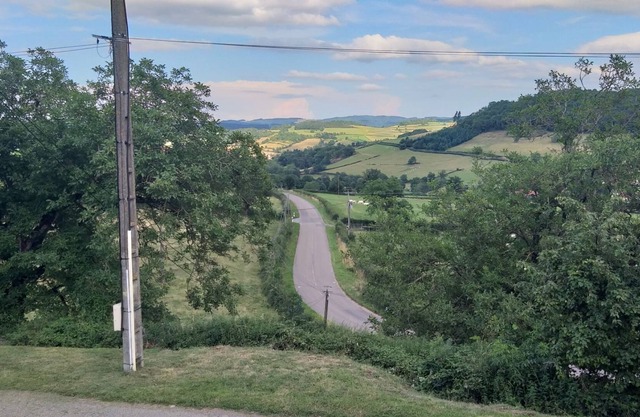 Happiness is in the meadow, breathtaking view