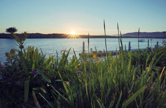 Harbortown Point Studio Condo - Ocean & Harbor Views - Ventura, California