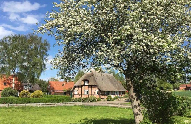 Haus-Ruhe-unter-Reet