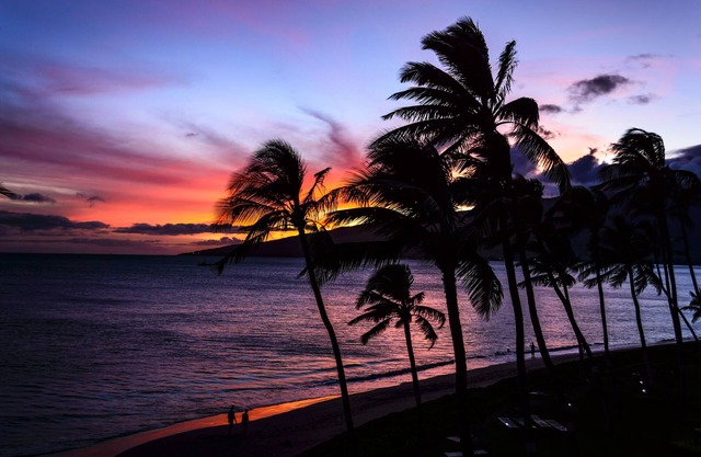 HEAVENLY OCEANFRONT CONDO! PH22 PENTHOUSE STEPS TO THE BEACH!