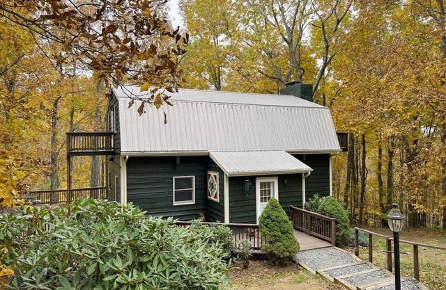 Hickory Hollow: Boone's Best Adventures